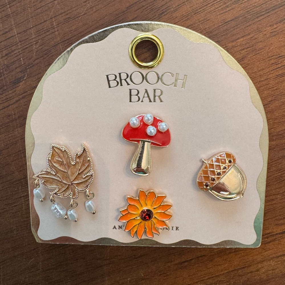 Anthropologie Nature Brooches, Set of 4
NWT